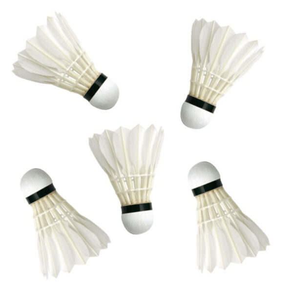 Badminton shuttles - 5x st - wit - 9 x 6 cm - met veertjes - Veren shuttles