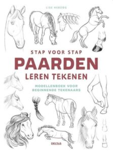 Volgende productafbeelding